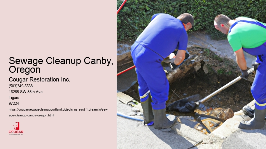 Sewage Cleanup Canby, Oregon