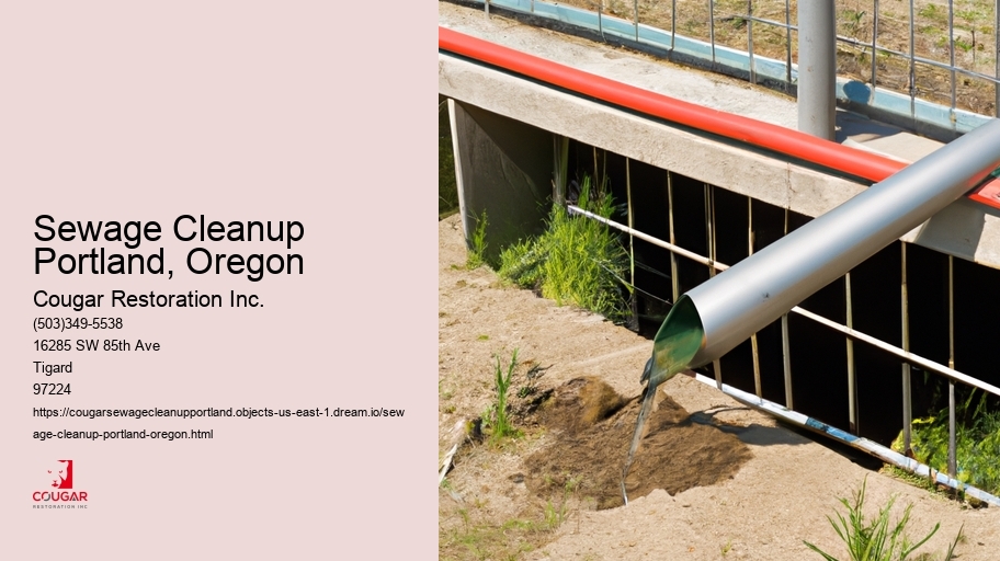 Sewage Cleanup Portland, Oregon