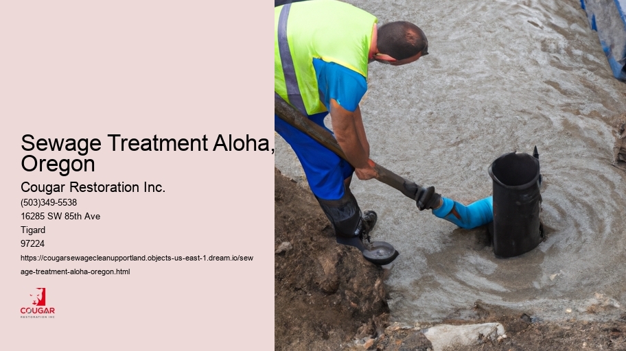 Sewage Treatment Aloha, Oregon